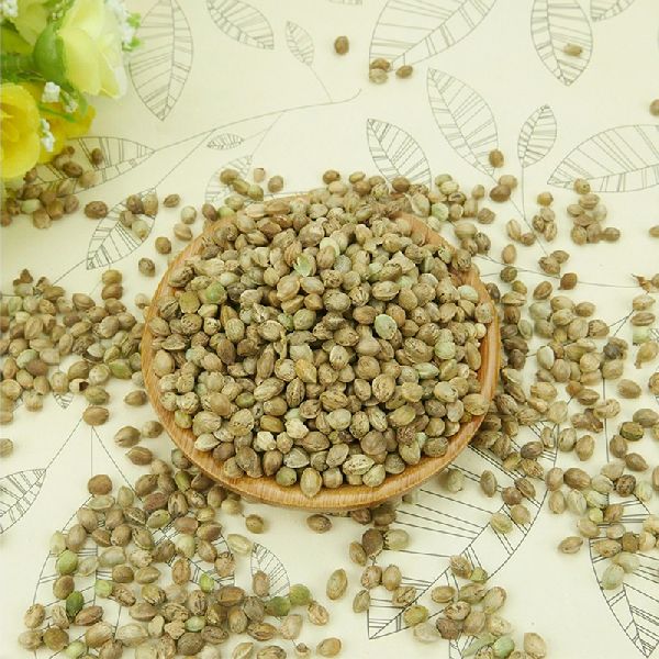 Best Price Hemp Seed Protein Powder Heep Seed Extract