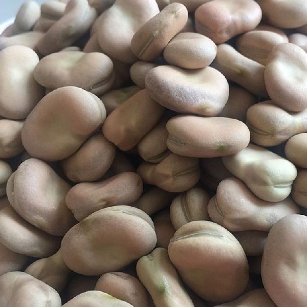 factory wholesale dry broad beans High quality broad beans Broad beans