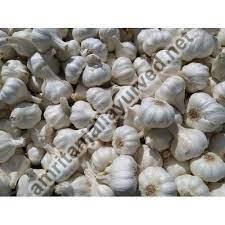 Desi Garlic