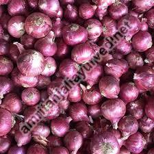 Red Nashik Onion
