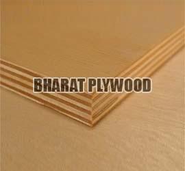 Hardwood Plywood (19mm)