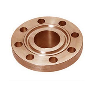 Copper Alloy Plate Flanges