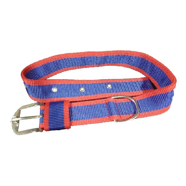 1.5 Inch Nylon Dog Collar