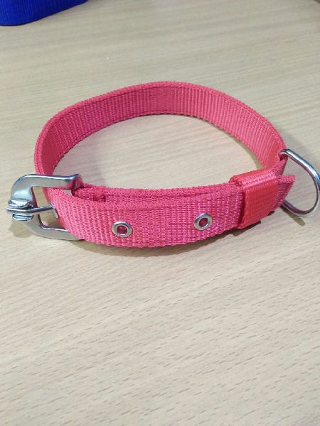 1 Inch Nylon Dog Collar