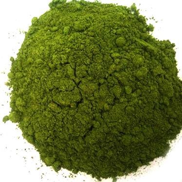 Dehydrated and Spray Dried Mint Powder