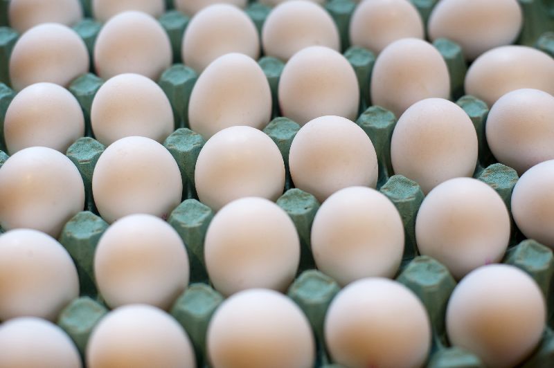 Farm Fresh Chicken Table Eggs White
