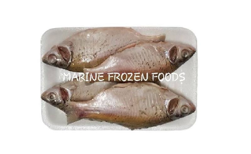 Frozen Puti Clean Tray Fish