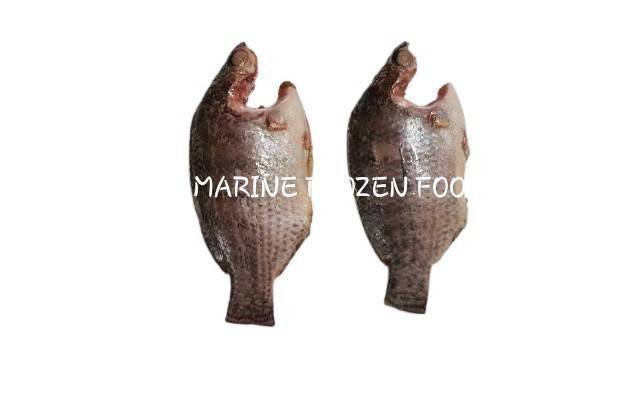 Frozen Tilapia Moon Cut Fish