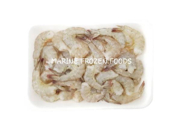 Vanammei H/L Shrimp