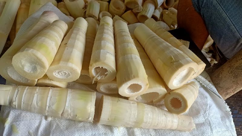 Bamboo Shoots