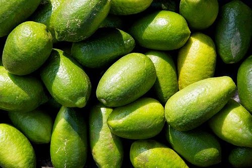 Fresh Natural Lemon