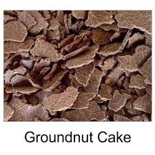 Groundnut Oil Cake