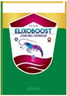 Elixoboost Loose Shell Controller