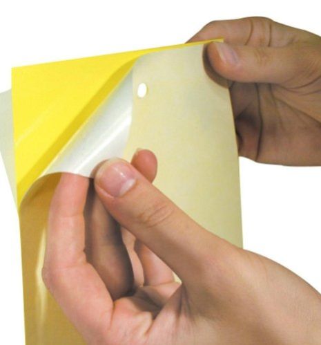PVC Sticky Trap