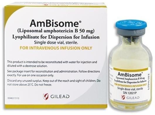 Amphotericin B Liposomal Injection