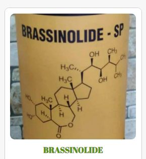 Brassinolide Fertilizer