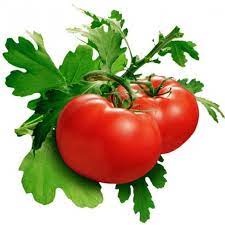 PKM 1 Tomato Seeds
