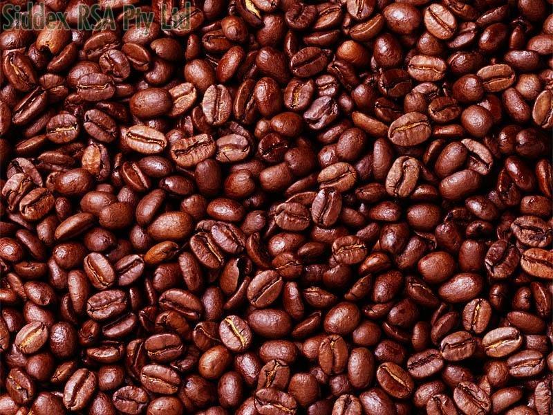 Robusta Coffee Beans