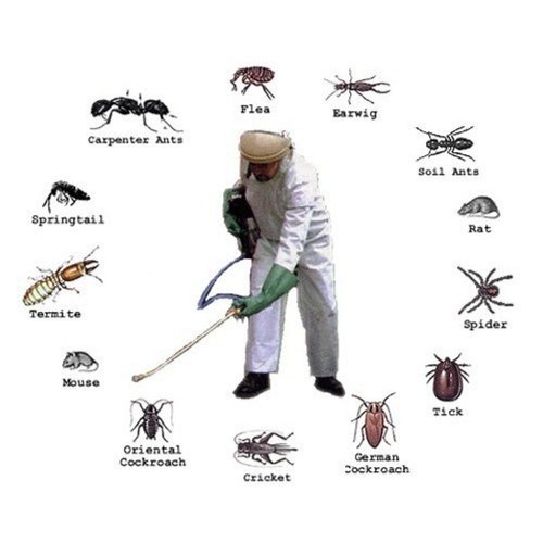 Pest Control Management Services