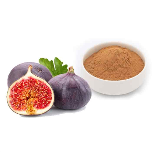 Spray Dried Fig Powder Manufacturer Supplier from Aurangabad India