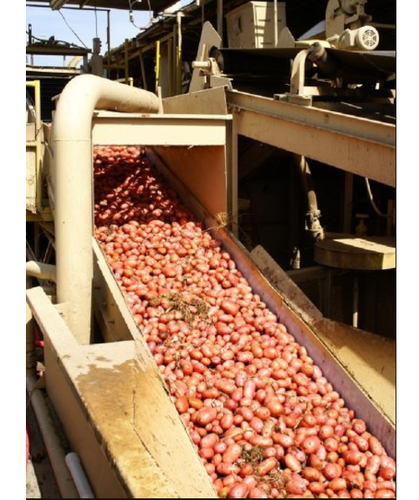 Food Belt Conveyor