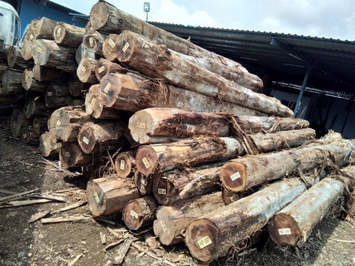 Brazil Round Teak Wood Logs