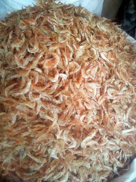 Dried Large Shrimp