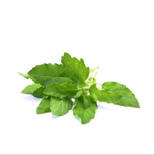 Organic Tulsi Leaves