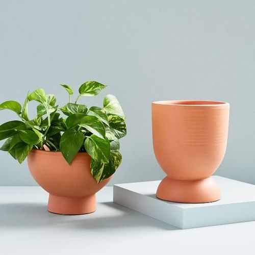 Terracotta Planter