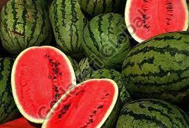 Fresh Watermelon