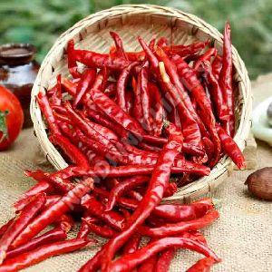 Fatki Dried Red Chilli