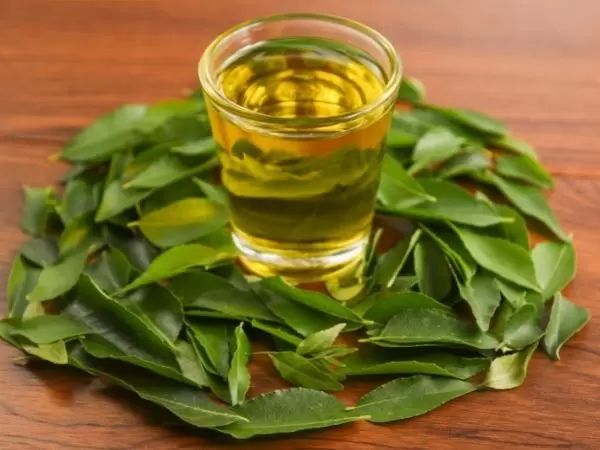 Curry Leaf Oil