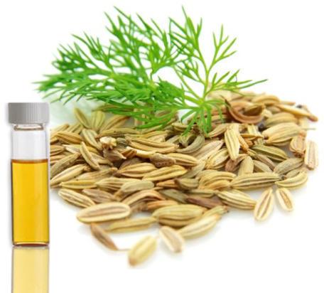 Dill Seed Oil