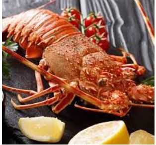 Whole Cooked Deep Sea Lobster