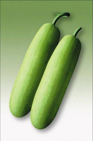 Bottle Gourd Seeds