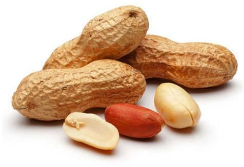 Ground Nut