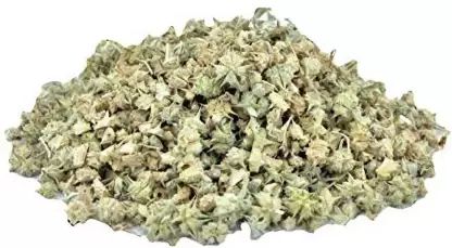 Gokhru Herb