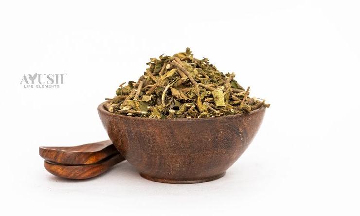 Dried Gudmar Leaves