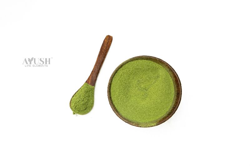 Kalmegh Powder