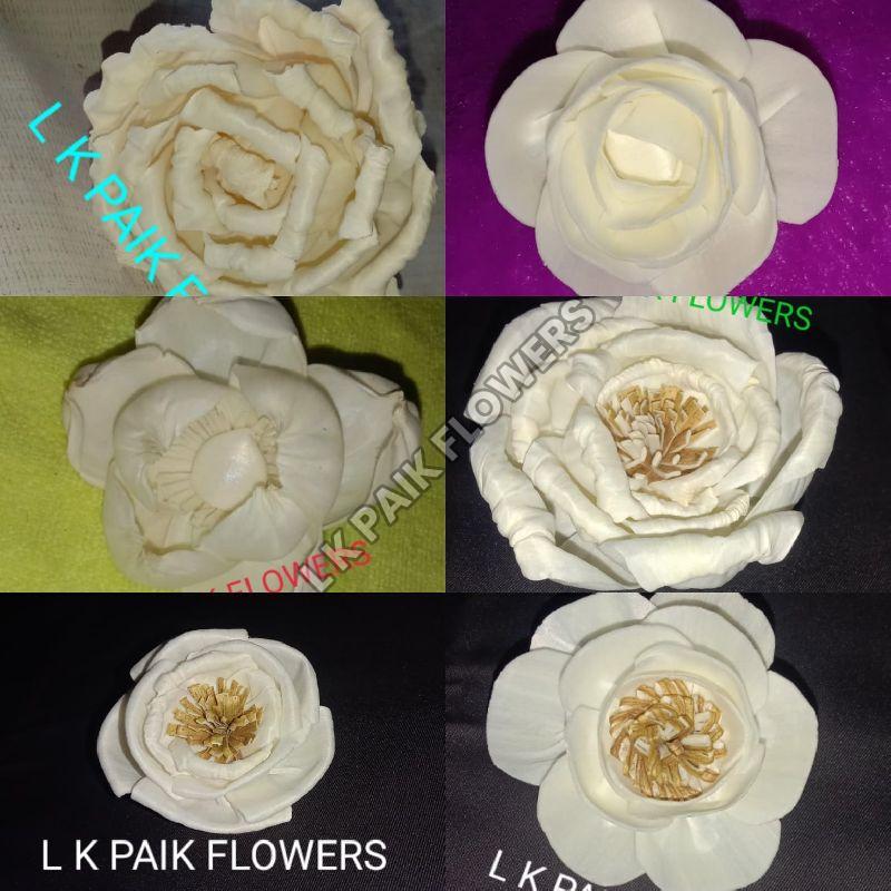 Dried Decorative Flower