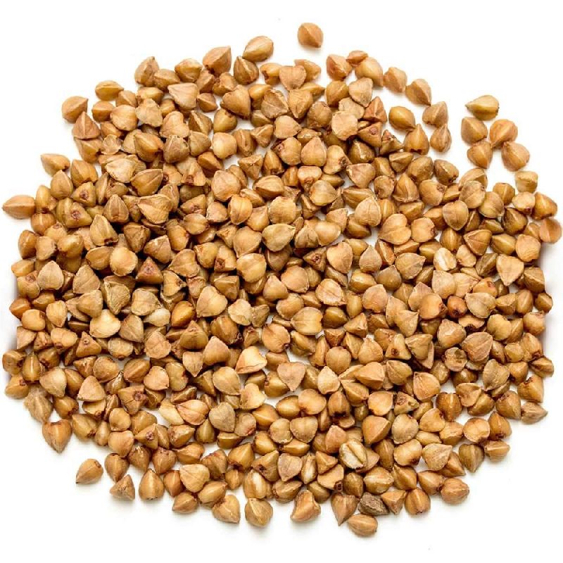Buckwheat Seeds