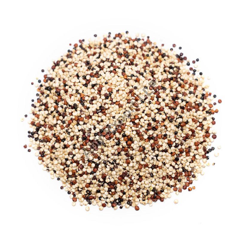 Tricolor Quinoa Seeds