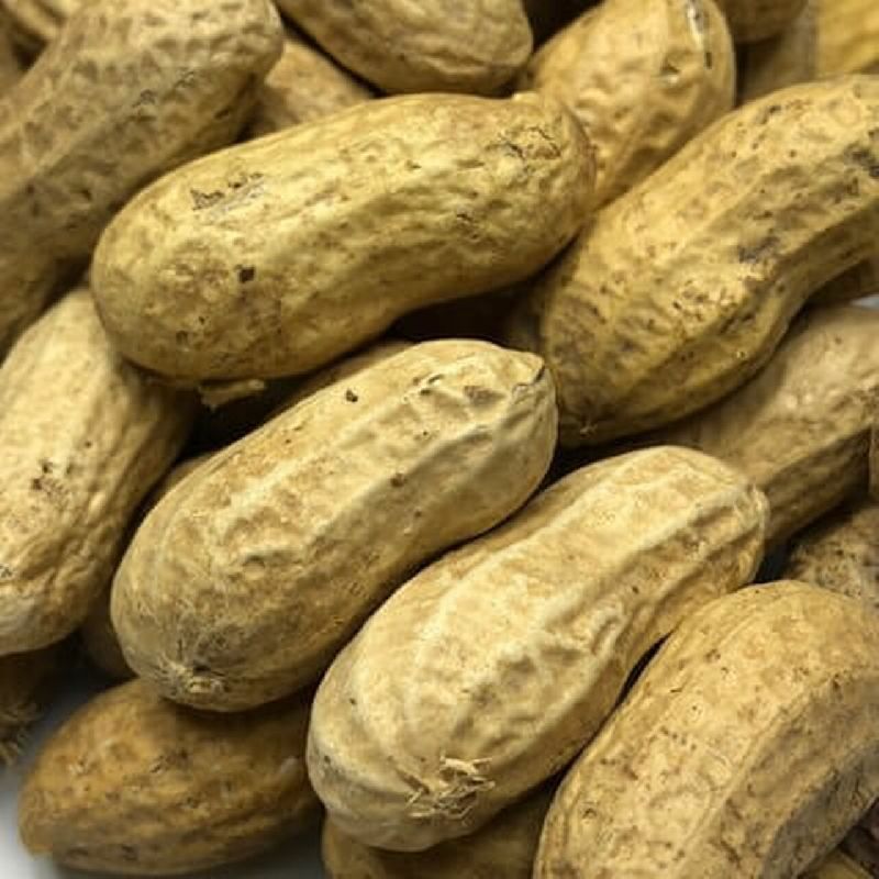 Shelled Peanuts