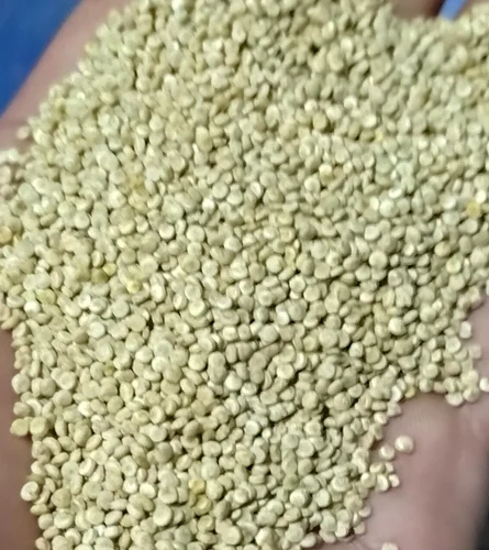 Quinoa Seeds Supplier,Wholesale Quinoa Seeds Distributor from Indore India