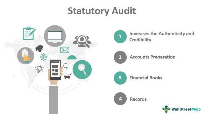 Statutory Audit and Assignments Services