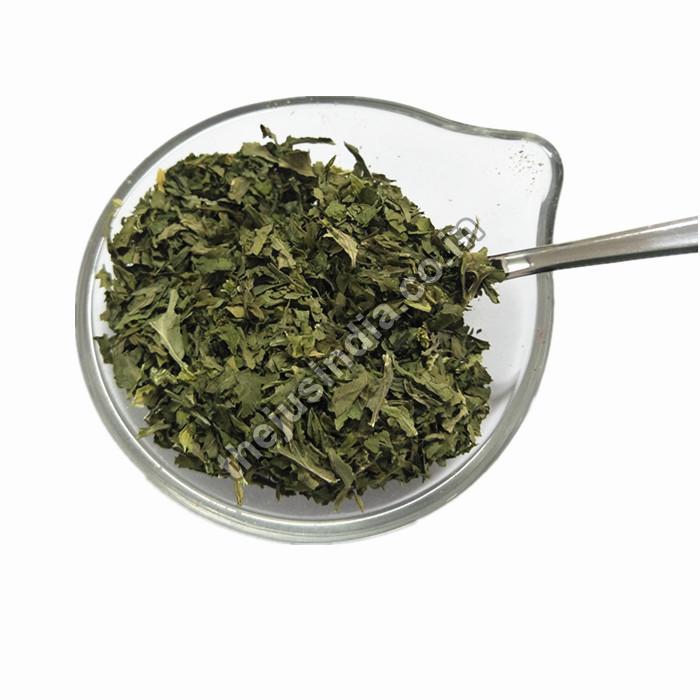 Dehydrated Coriander Leaves