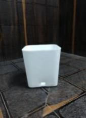 4 Inch CNS Pot