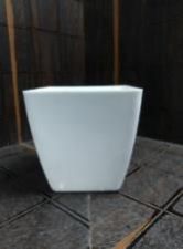 6 Inch CNS Pot