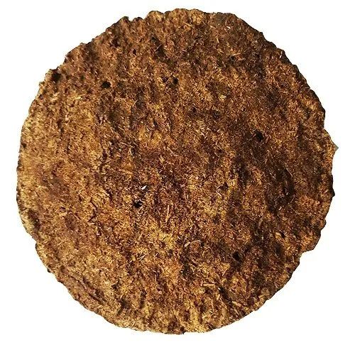 Cow Dung Cake