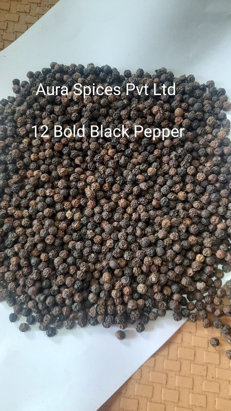 Black Pepper Bold